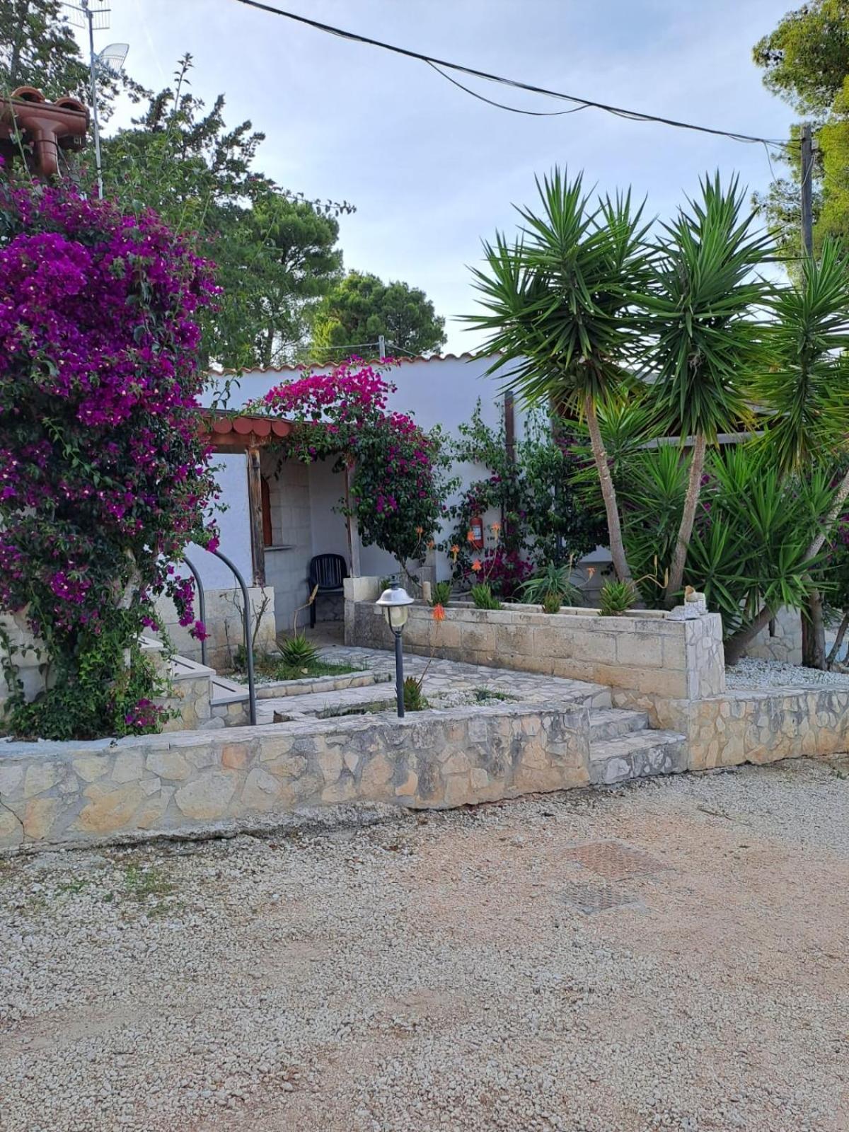 Althea Village Residence Vieste Dış mekan fotoğraf