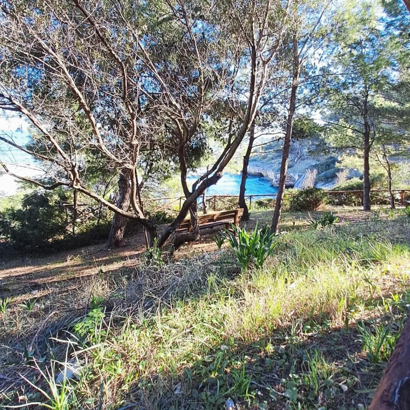 Althea Village Residence Vieste Dış mekan fotoğraf