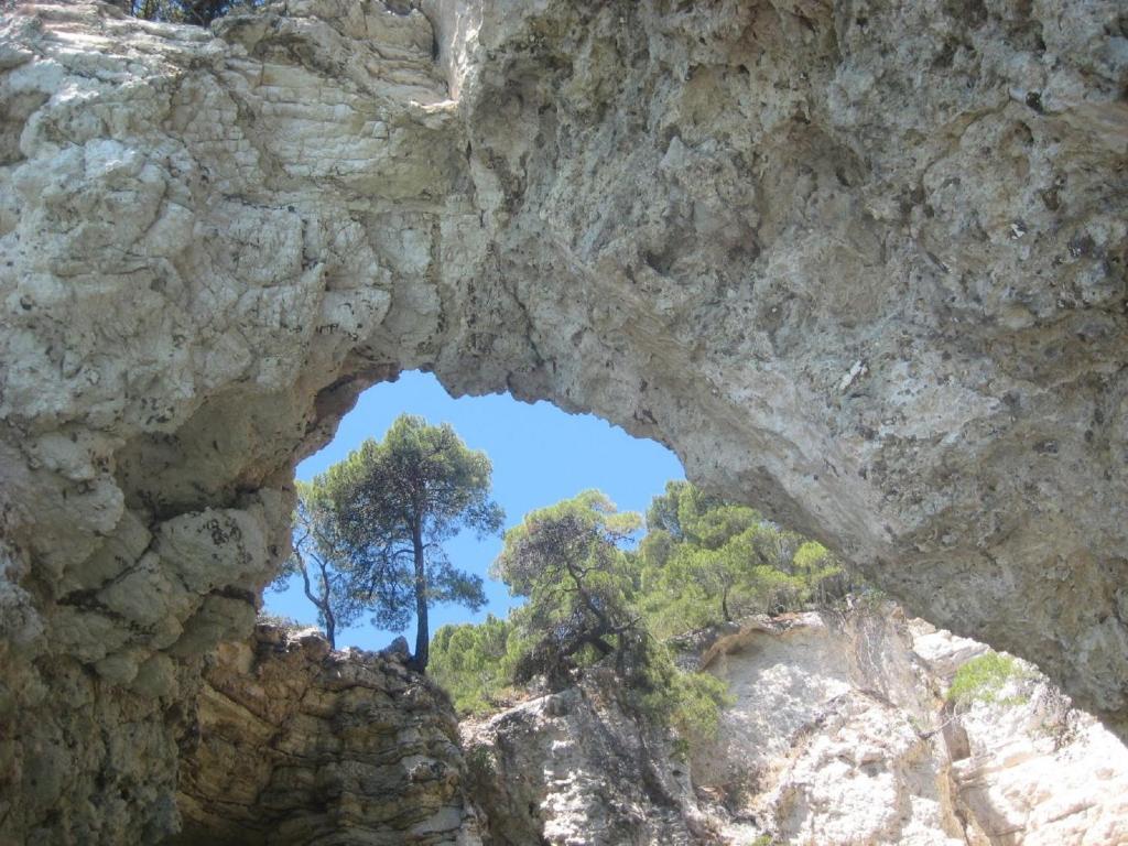 Althea Village Residence Vieste Oda fotoğraf