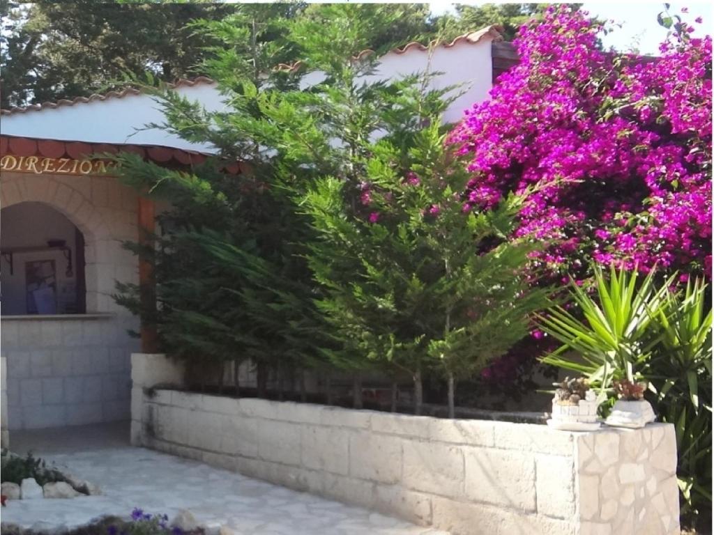 Althea Village Residence Vieste Oda fotoğraf